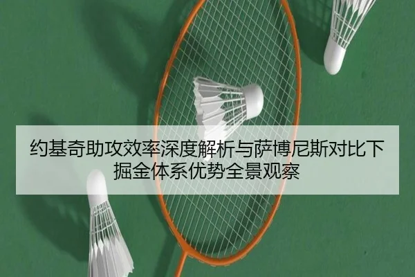 约基奇助攻效率深度解析与萨博尼斯对比下掘金体系优势全景观察